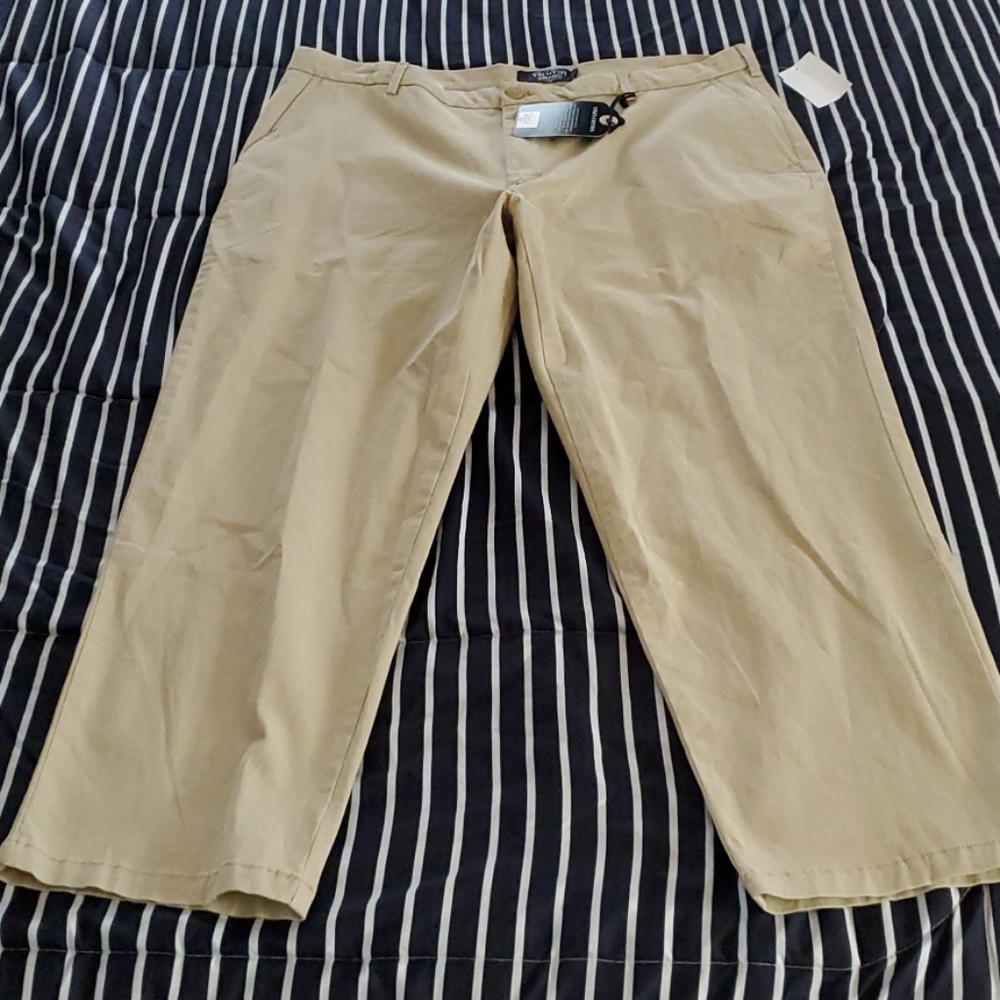 NWTS THE NEW IVY BRAND CHINOS 38X29